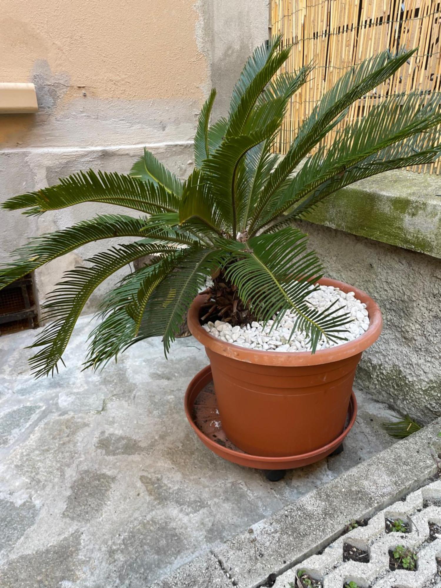 Appartamento Goa Sea - Foce Genova